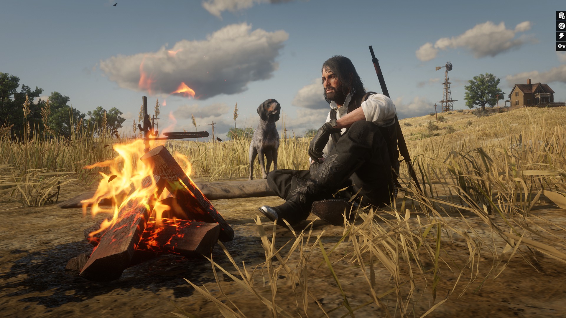 [トップ 5] RDO の優れた犬 (およびその入手方法)